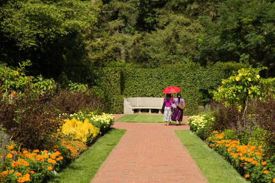 Two people strolling along a brick path on a sunny day holding a red umbrella. 